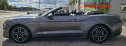 Thumbnail image of 2022 Ford Mustang at OVERDRIVE PERFORMANCE AUTO SALES