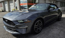 Thumbnail image of 2022 Ford Mustang at OVERDRIVE PERFORMANCE AUTO SALES