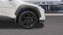 Thumbnail image of 2022 Toyota RAV4 at Bison Motor Company