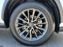 Thumbnail image of 2024 Lexus NX 350 at Chevrolet 112
