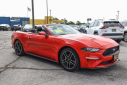 Thumbnail image of 2022 Ford Mustang at ChrisNikelChryslerJeep NEW