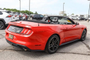 Thumbnail image of 2022 Ford Mustang at ChrisNikelChryslerJeep NEW