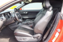 Thumbnail image of 2022 Ford Mustang at ChrisNikelChryslerJeep NEW