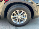 Thumbnail image of 2019 Hyundai SANTA FE at Advantage Hyundai Genesis of North Shore