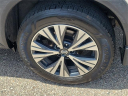 Thumbnail image of 2021 Nissan Rogue at Grand Blanc Nissan