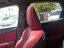 Thumbnail image of 2022 Lexus NX 350 at Lynnes Nissan City Inc