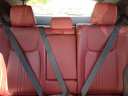 Thumbnail image of 2022 Lexus NX 350 at Lynnes Nissan City Inc