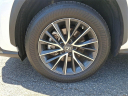 Thumbnail image of 2022 Lexus NX 350 at Lynnes Nissan City Inc