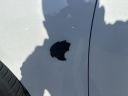 Thumbnail image of 2019 Dodge Charger at Cape Coral Chrysler Dodge Jeep Ram