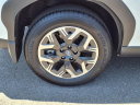 Thumbnail image of 2025 Subaru Forester at Liberty Subaru Inc.