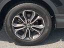 Thumbnail image of 2022 Honda CR-V at Jenkins Honda of Leesburg Used