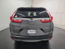 Thumbnail image of 2019 Honda CR-V at Performance Kings Honda