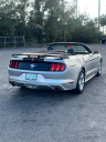Thumbnail image of 2016 Ford Mustang at CROWN MOTORS OF TALLAHASSEE, INC.