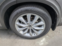 Thumbnail image of 2019 INFINITI QX50 at Arrigo Chrysler Dodge Jeep Ram at Sawgrass