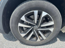 Thumbnail image of 2022 Volkswagen Tiguan at Ciocca VW