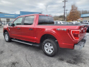 Thumbnail image of 2021 Ford F-150 at Morgan Mcclure Ford