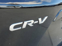 Thumbnail image of 2022 Honda CR-V at VeniceHonda - USED