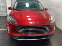 Thumbnail image of 2021 Ford Escape at D'Ambrosio Dodge