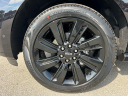 Thumbnail image of 2024 Lincoln Navigator at Gillie Hyde Ford-Linc-Merc-Chy