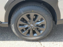 Thumbnail image of 2025 Subaru Outback at LaFontaine Subaru