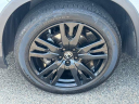 Thumbnail image of 2022 Honda Pilot at Millennium Honda