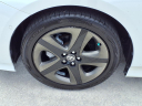 2019 Toyota Prius XLE at Ed Morse Honda