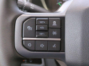 Thumbnail image of 2025 Ford F-150 Lightning at Palm Bay Ford Used