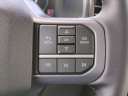 Thumbnail image of 2025 Ford F-150 Lightning at Palm Bay Ford Used