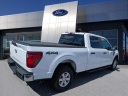 Thumbnail image of 2024 Ford F-150 at Greenwood Ford Lincoln