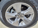 Thumbnail image of 2024 Toyota RAV4 at Toyota Of Des Moines