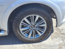 Thumbnail image of 2020 INFINITI QX80 at Fredy Kia
