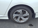 Thumbnail image of 2020 Honda Accord at Lou Fusz Toyota