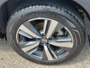 Thumbnail image of 2021 Nissan Rogue at Grand Blanc Nissan