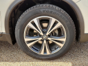 Thumbnail image of 2017 Nissan Rogue at Frank Brown Honda GMC