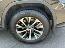 Thumbnail image of 2022 Lexus RX 350 at Lexus of Freeport