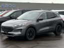 Thumbnail image of 2022 Ford Escape Hybrid at Lasco Ford