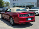 Thumbnail image of 2014 Ford Mustang at South Shore Subaru