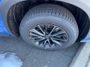 Thumbnail image of 2025 Lexus NX 350 at Lexus of Smithtown