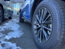 Thumbnail image of 2025 Lexus NX 350 at Lexus of Smithtown