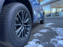 Thumbnail image of 2025 Lexus NX 350 at Lexus of Smithtown