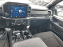 Thumbnail image of 2023 Ford F-150 at LorenzoFord-New of Homestead, FL