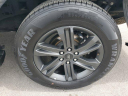 Thumbnail image of 2023 Ford F-150 at LorenzoFord-New of Homestead, FL