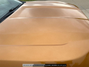 Thumbnail image of 2019 Ford Ranger at Nelson Nissan