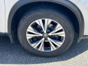 Thumbnail image of 2021 Nissan Rogue at Garden City Chrysler Jeep Dodge - Used