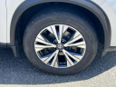 Thumbnail image of 2021 Nissan Rogue at Garden City Jeep Chrysler