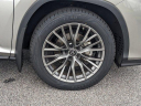 Thumbnail image of 2022 Lexus RX 350 at Hilton Head Lexus