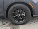 Thumbnail image of 2025 Honda CR-V Hybrid at Jenkins Honda of Leesburg Used