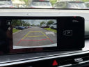 Thumbnail image of 2025 Kia Sorento at JenkinsKiaOfGainesville-New of Gainesville, FL