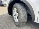 Thumbnail image of 2025 Kia Sorento at JenkinsKiaOfGainesville-New of Gainesville, FL
