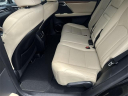 Thumbnail image of 2021 Lexus RX 350 at Capital Nissan